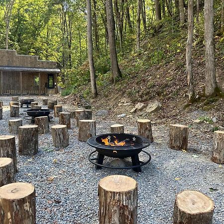 Cozy Cove Retreat W Lake View Hot Tub Firepit داندريج المظهر الخارجي الصورة